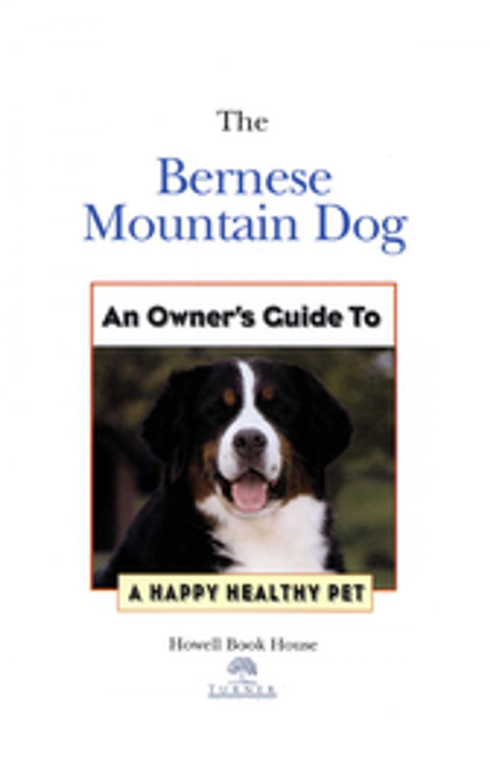 Big bigCover of Bernese Mountain Dog