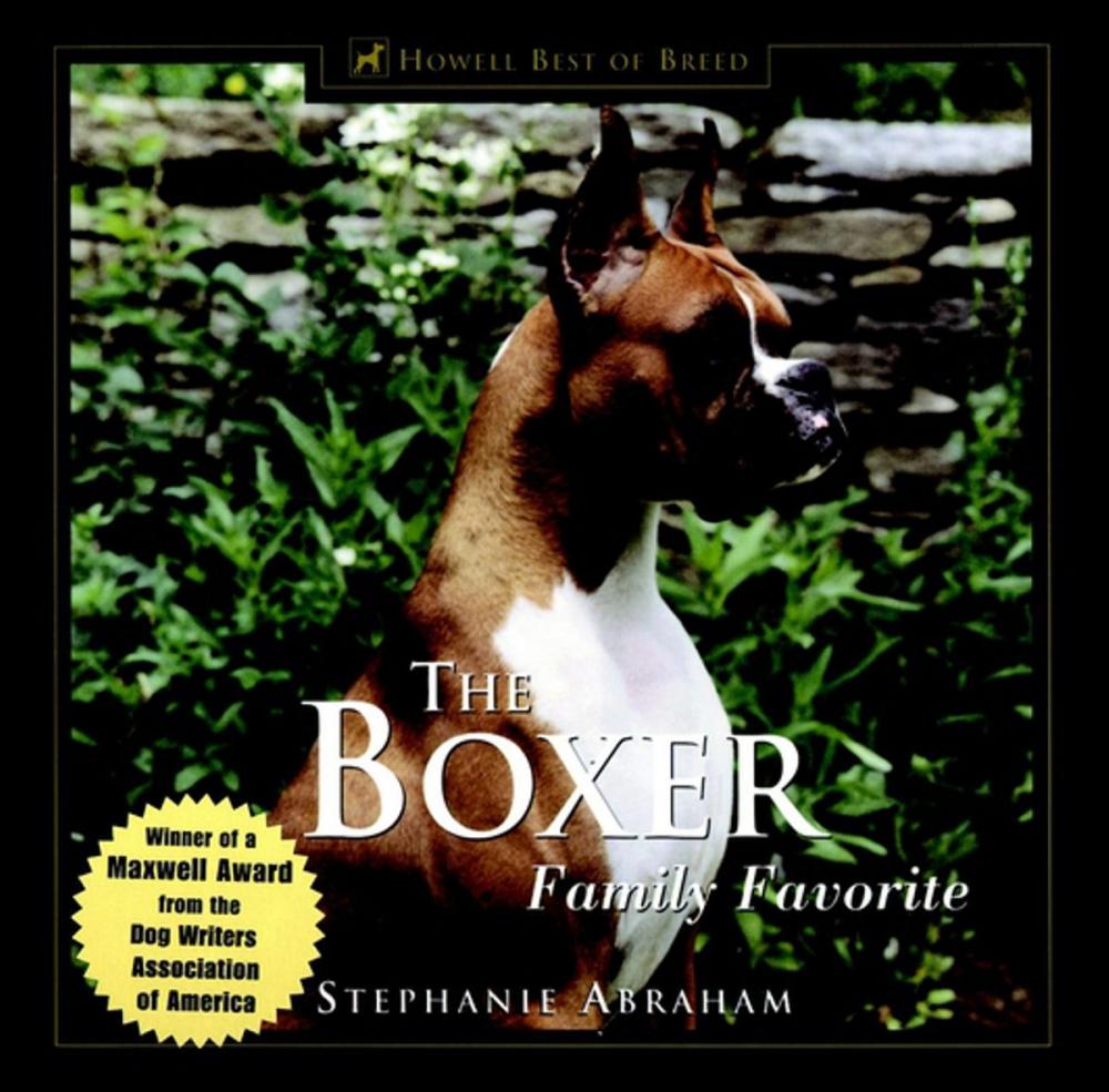 Big bigCover of The Boxer