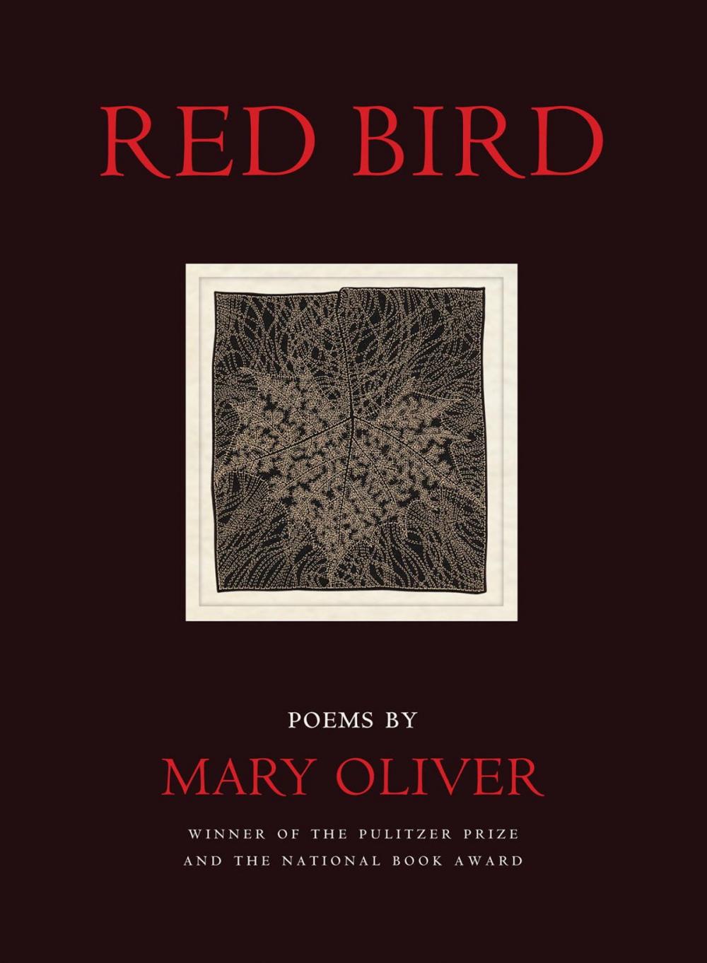 Big bigCover of Red Bird