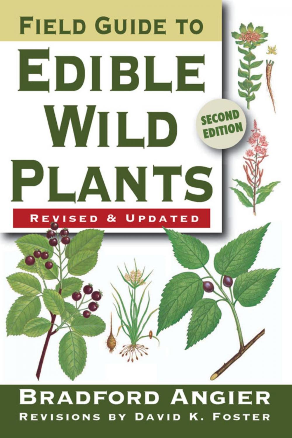 Big bigCover of Field Guide to Edible Wild Plants