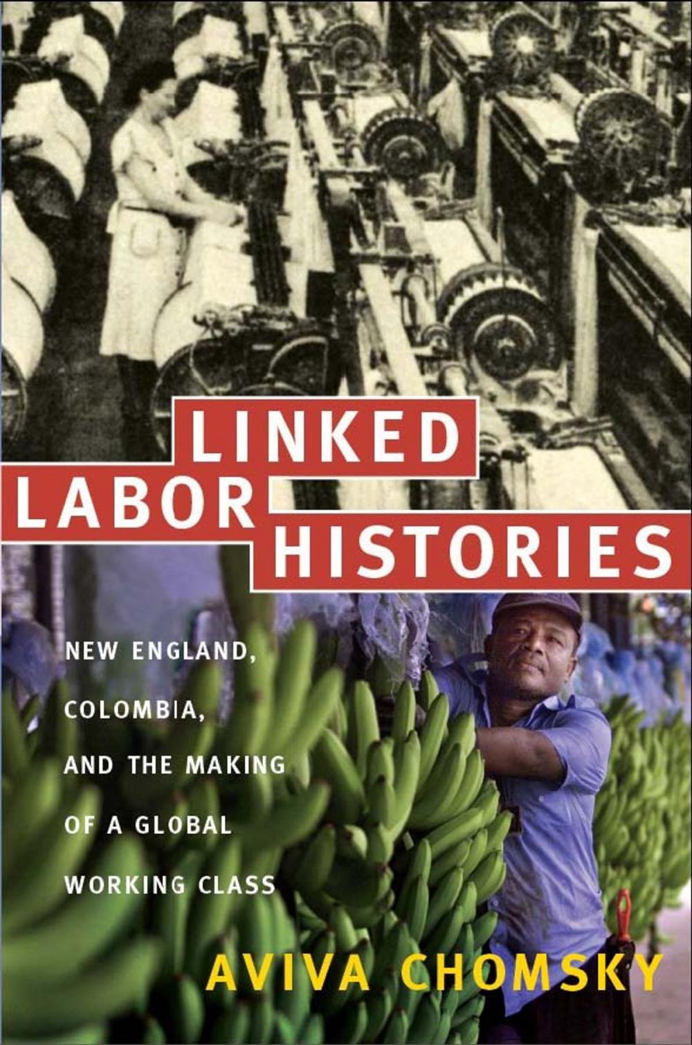 Big bigCover of Linked Labor Histories