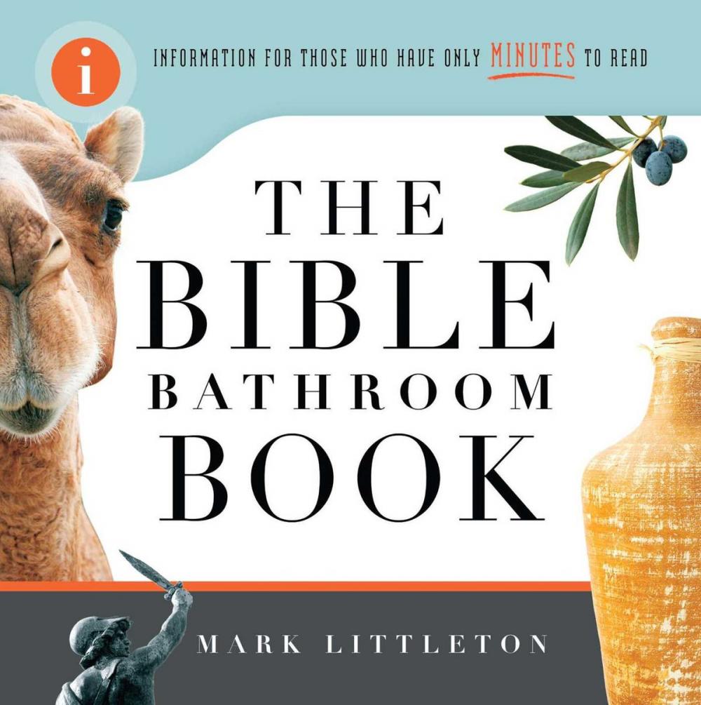 Big bigCover of The Bible Bathroom Book