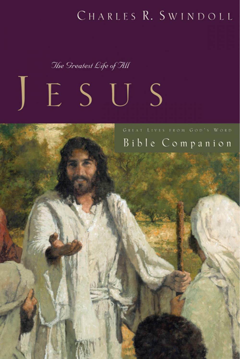 Big bigCover of Great Lives: Jesus Bible Companion