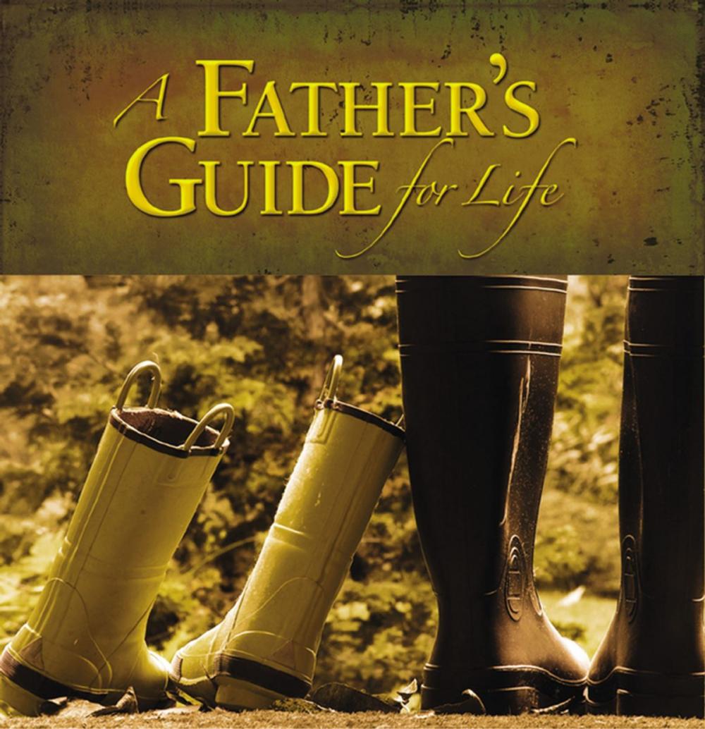 Big bigCover of A Father's Guide for Life