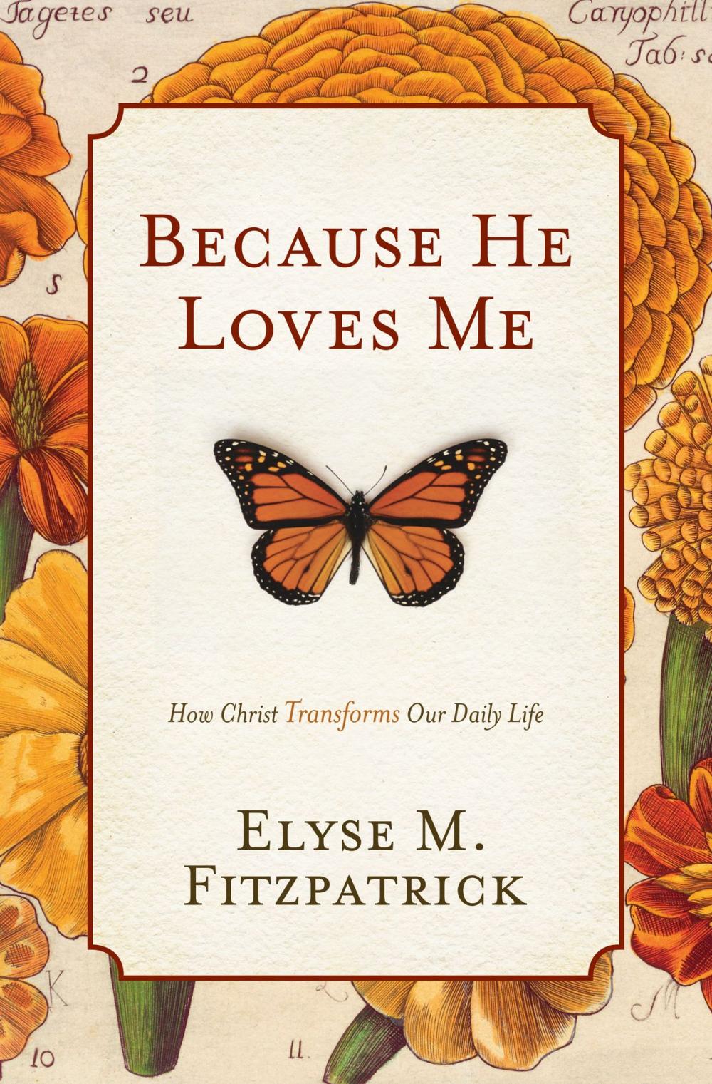 Big bigCover of Because He Loves Me: How Christ Transforms Our Daily Life