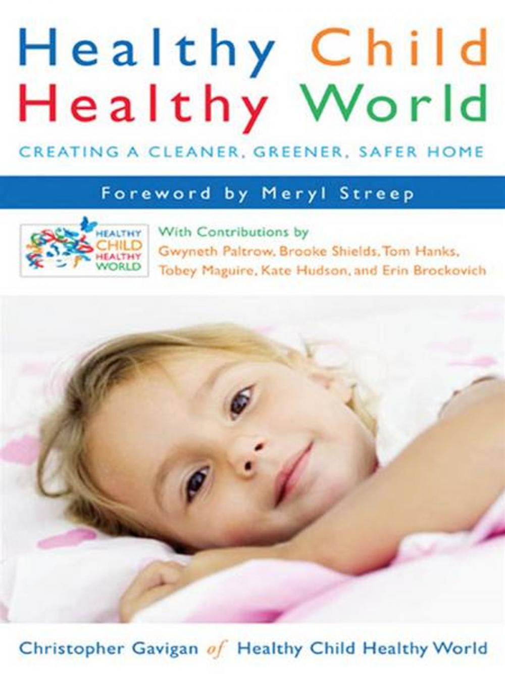 Big bigCover of Healthy Child Healthy World