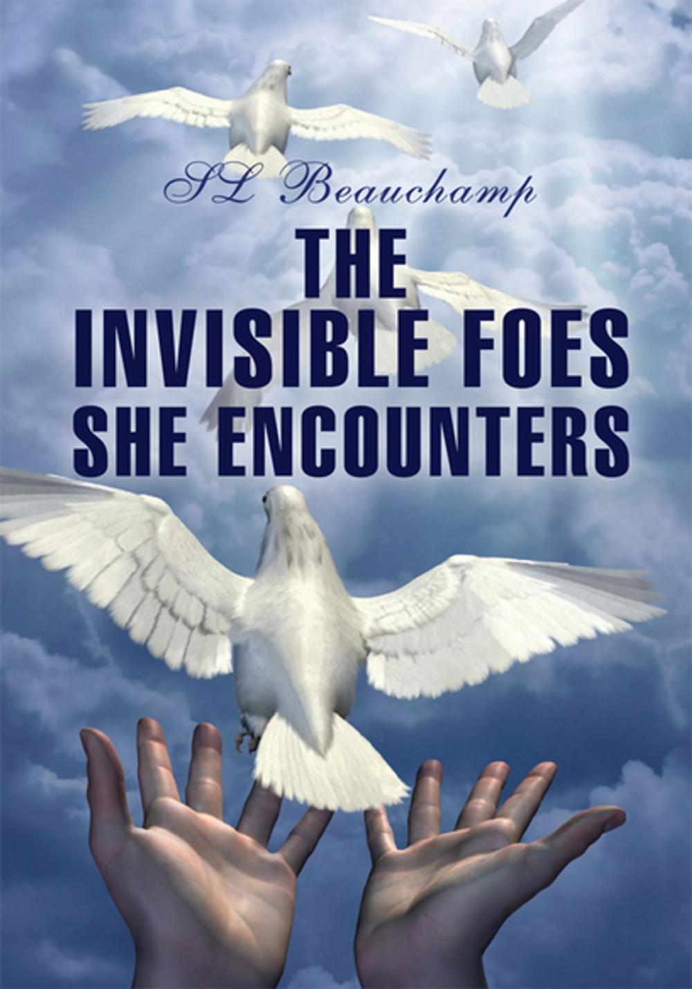 Big bigCover of The Invisible Foes She Encounters