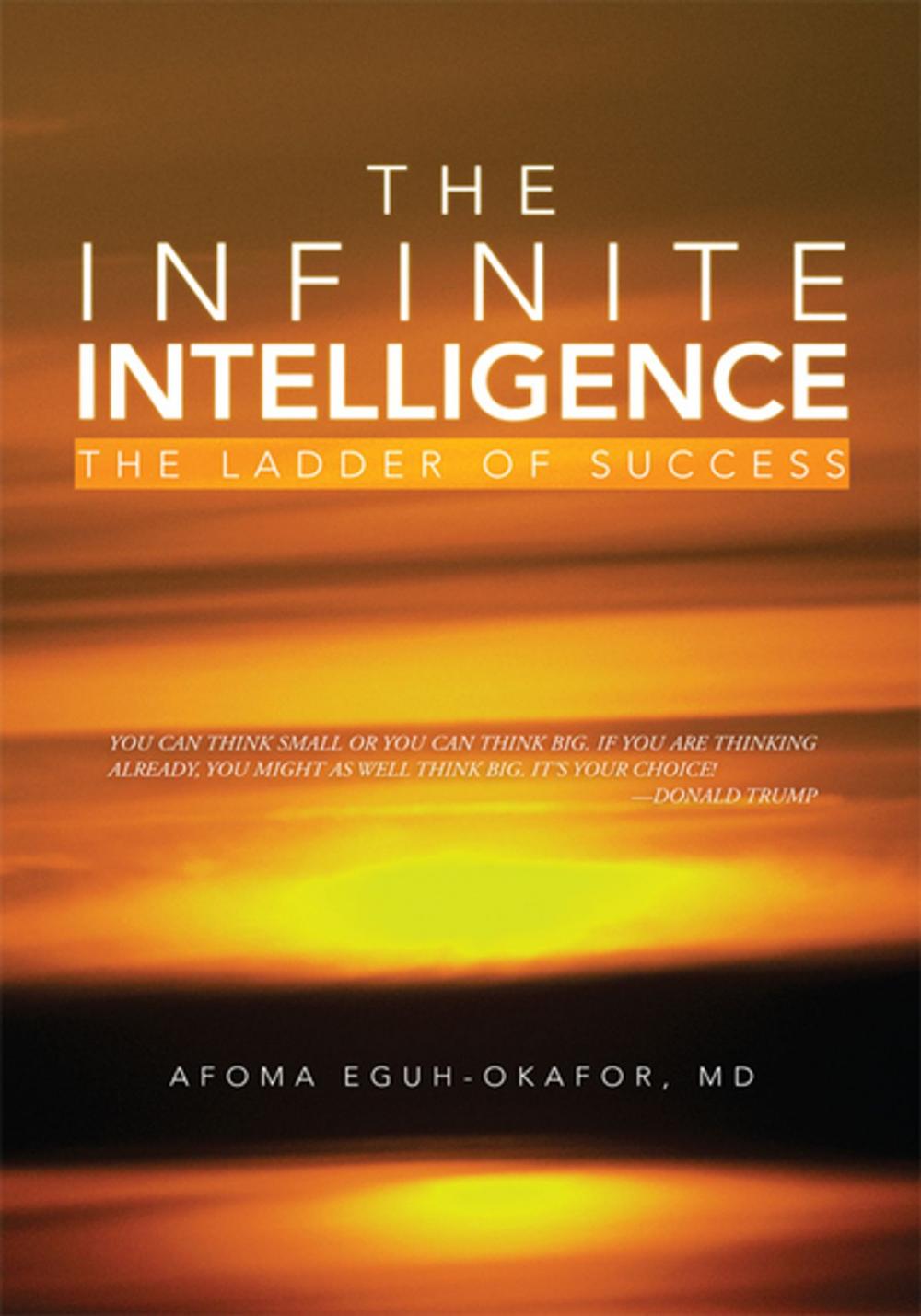 Big bigCover of The Infinite Intelligence