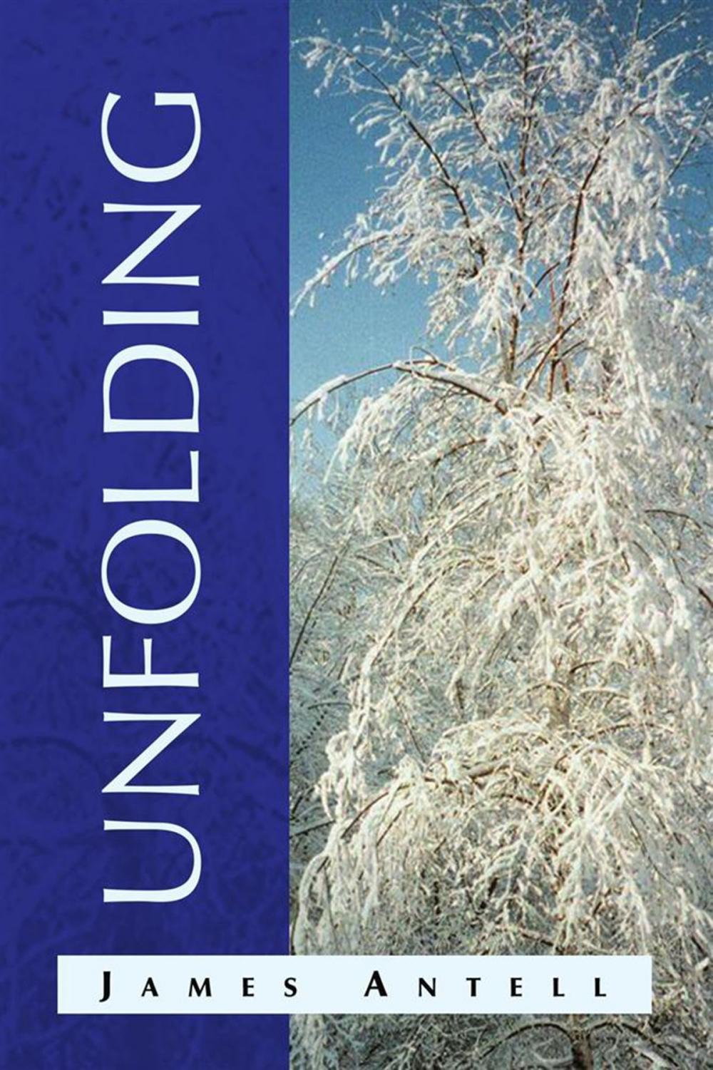 Big bigCover of Unfolding