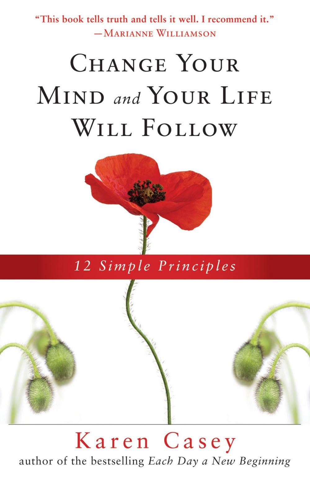 Big bigCover of Change Your Mind and Your Life Will Follow: 12 Simple Principles