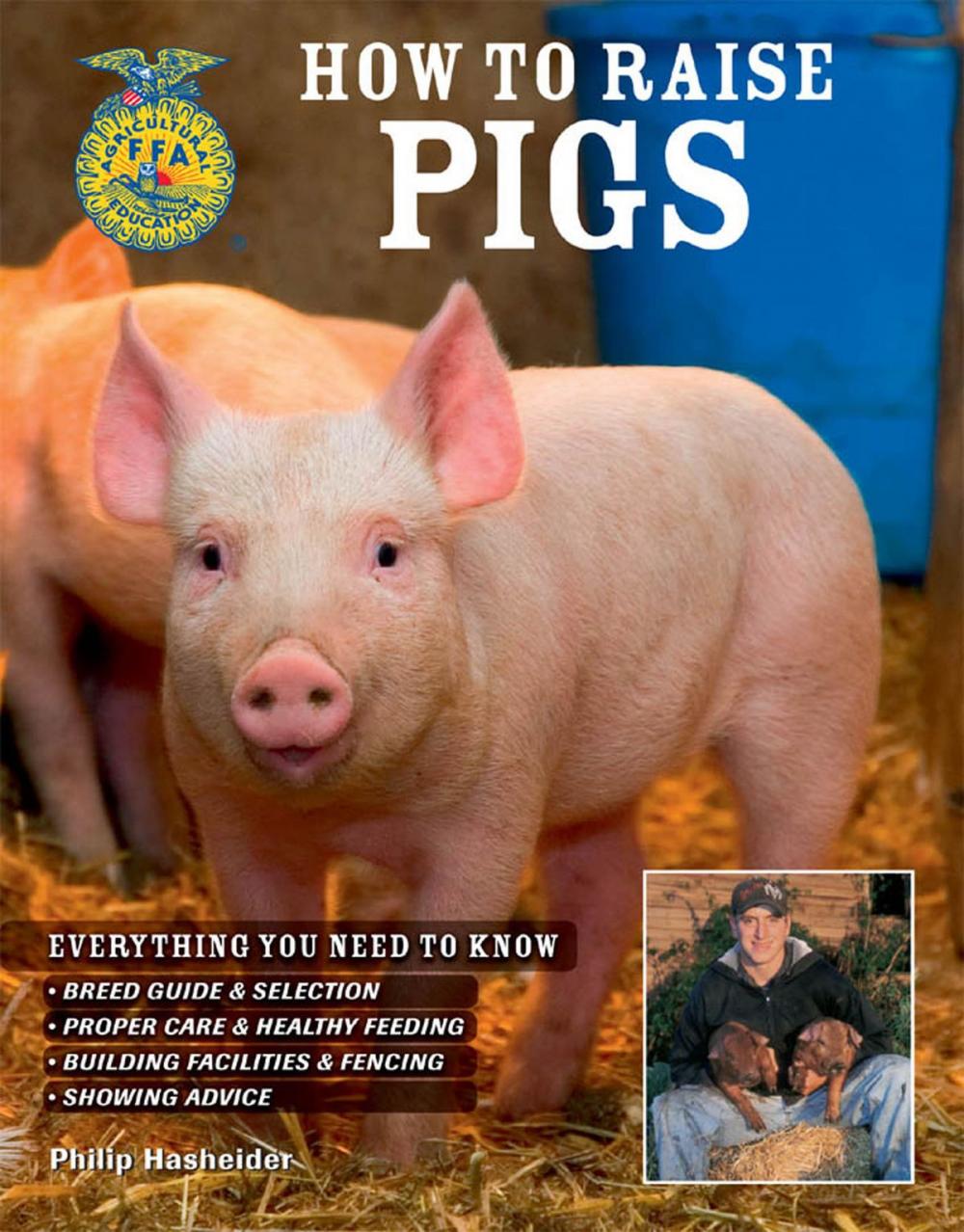 Big bigCover of How to Raise Pigs