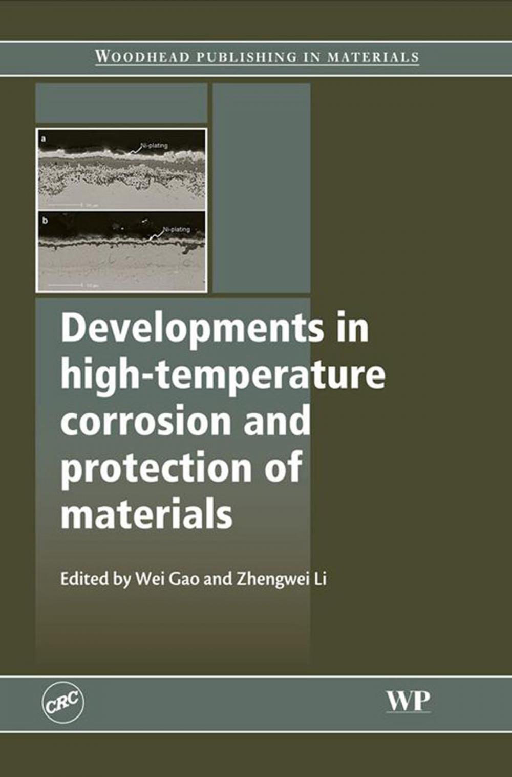 Big bigCover of Developments in High Temperature Corrosion and Protection of Materials