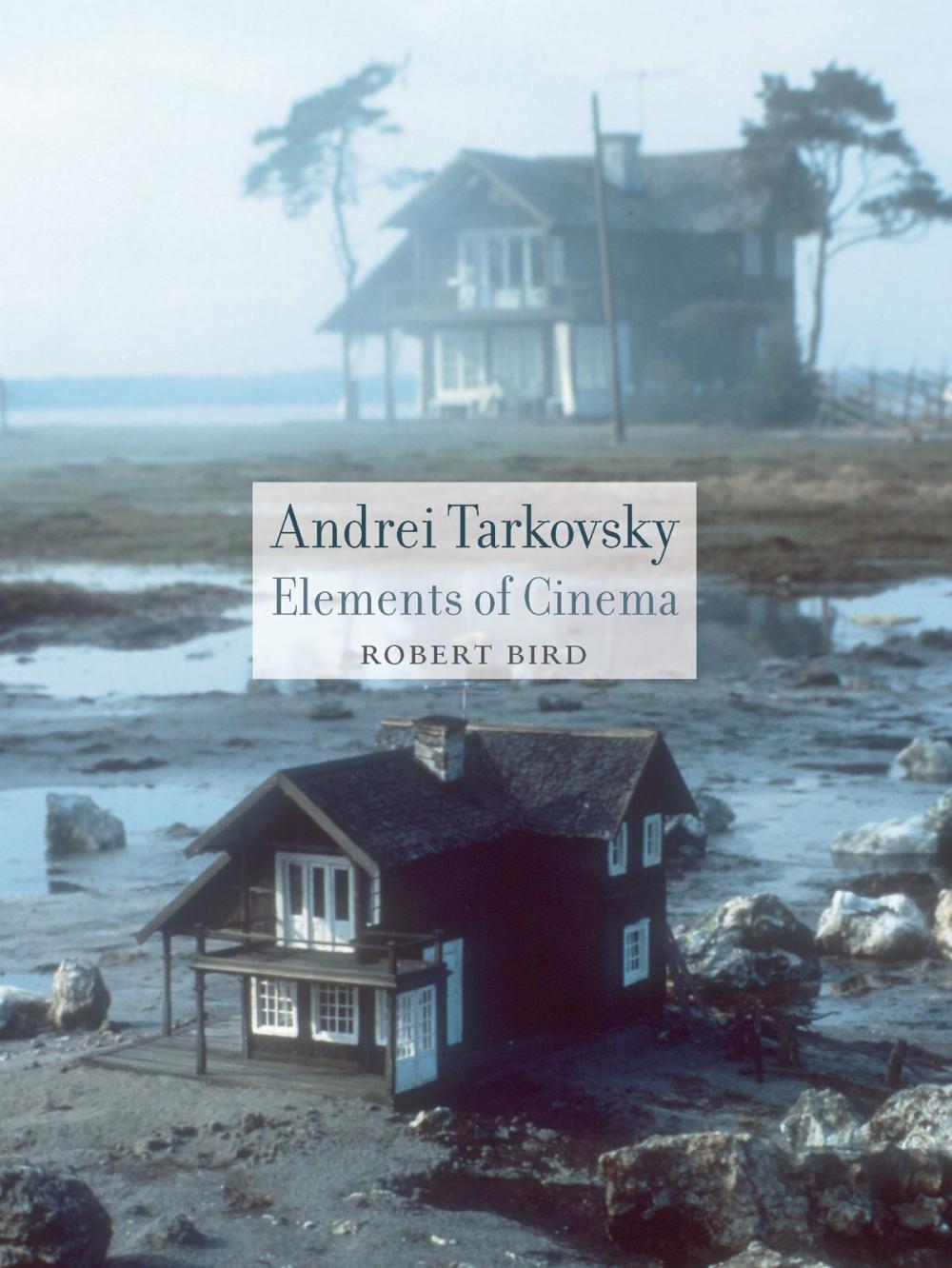 Big bigCover of Andrei Tarkovsky