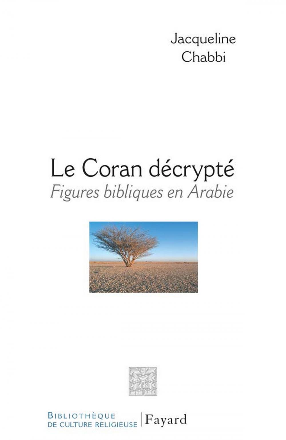 Big bigCover of Le Coran décrypté