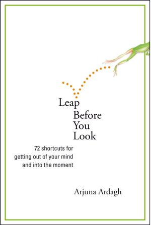 Cover of the book Leap Before You Look by Colin Tipping