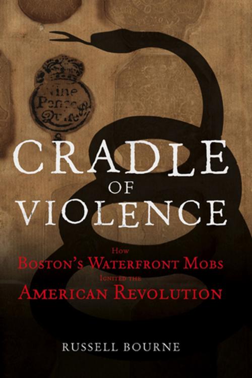 Cover of the book Cradle of Violence by Russell Bourne, Turner Publishing Company