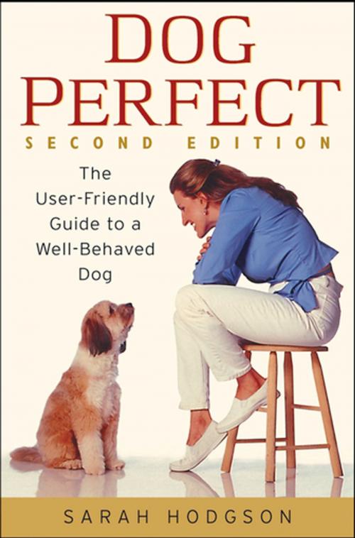 Cover of the book DogPerfect by Sarah Hodgson, Turner Publishing Company