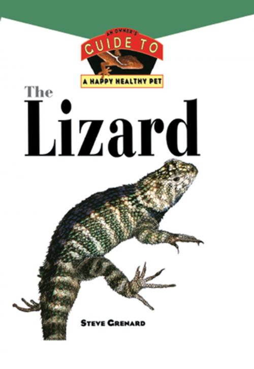 Cover of the book The Lizard by Steve Grenard, Turner Publishing Company