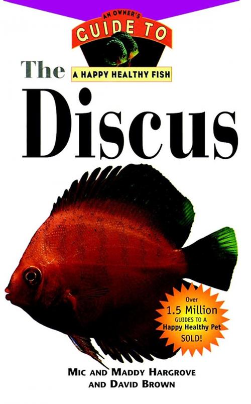 Cover of the book The Discus by Mic Hargrove, Maddy Hargrove, David Brown, Turner Publishing Company