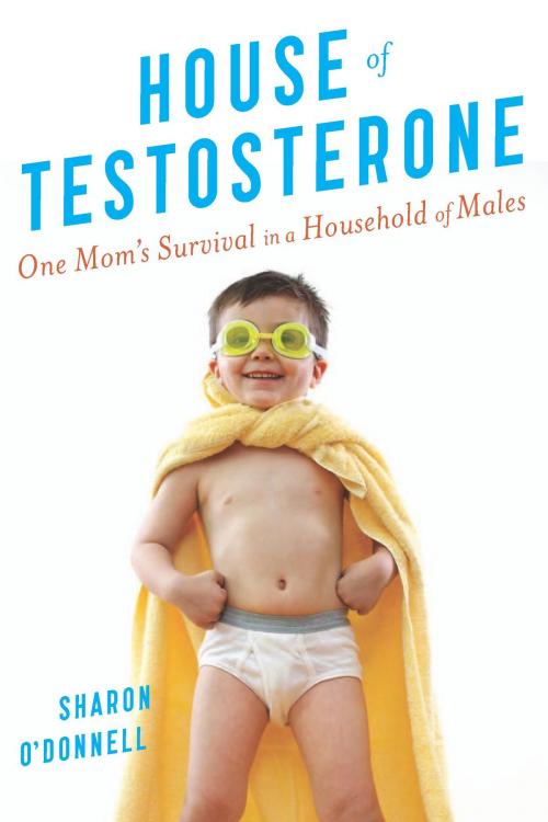 Cover of the book House of Testosterone by Sharon O'Donnell, HMH Books