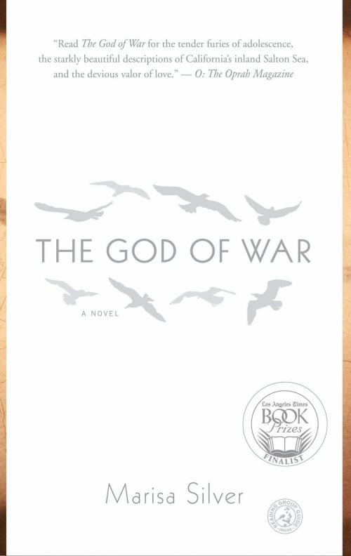 Cover of the book The God of War by Marisa Silver, Simon & Schuster