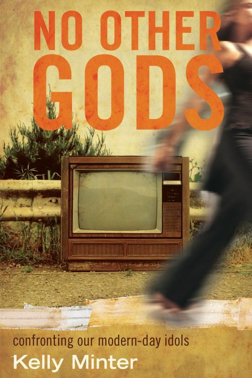 Cover of the book No Other gods by Kelly Minter, David C Cook