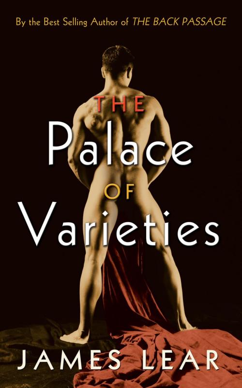 Cover of the book The Palace of Varieties by James Lear, Cleis Press