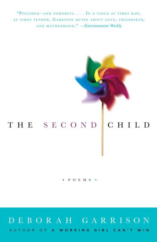 Cover of the book The Second Child by Deborah Garrison, Random House Publishing Group