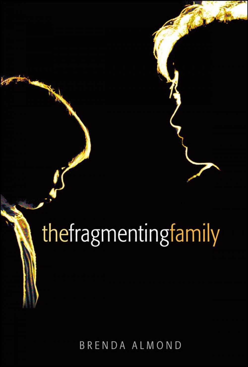 Big bigCover of The Fragmenting Family