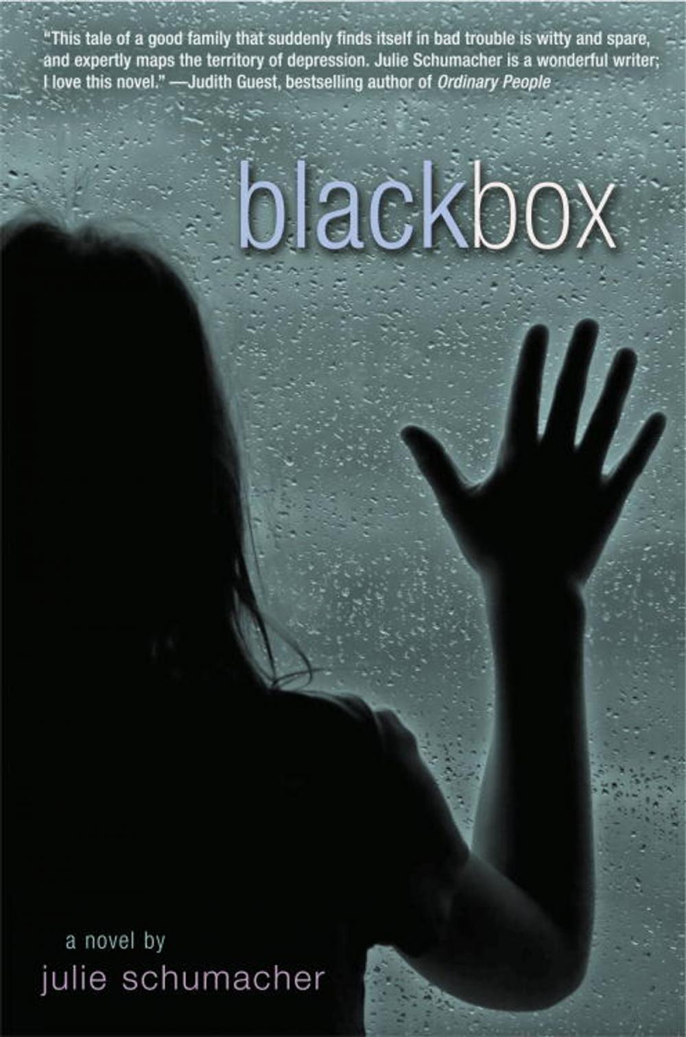 Big bigCover of Black Box