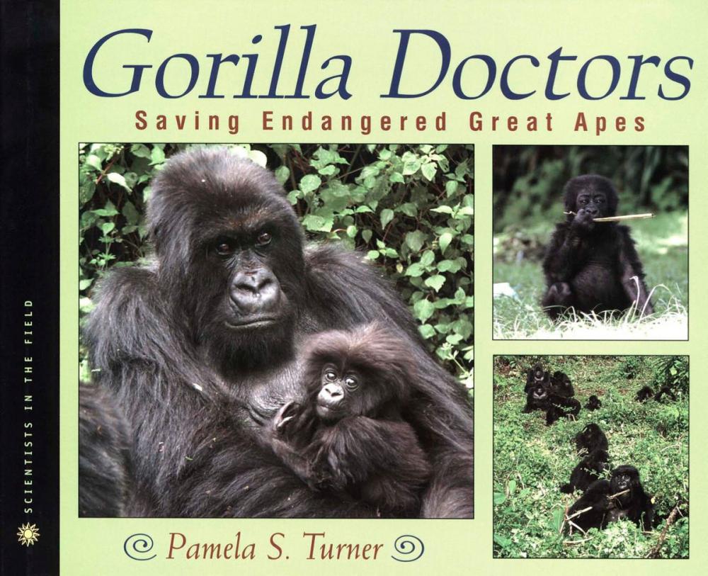 Big bigCover of Gorilla Doctors: Saving Endangered Great Apes