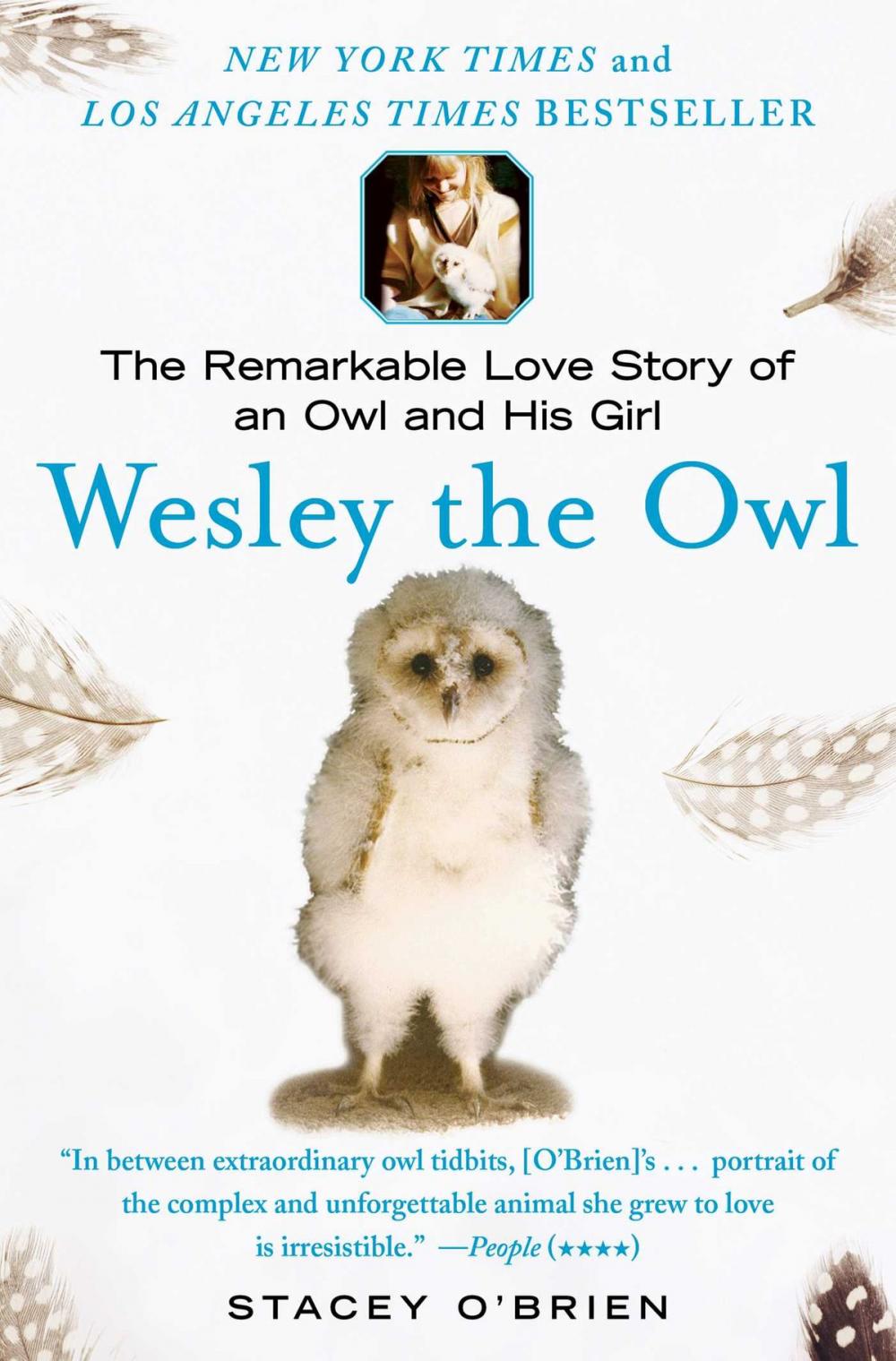 Big bigCover of Wesley the Owl