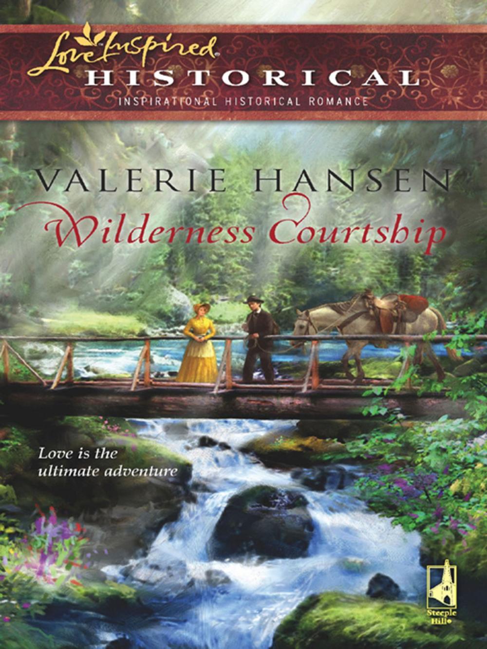 Big bigCover of Wilderness Courtship