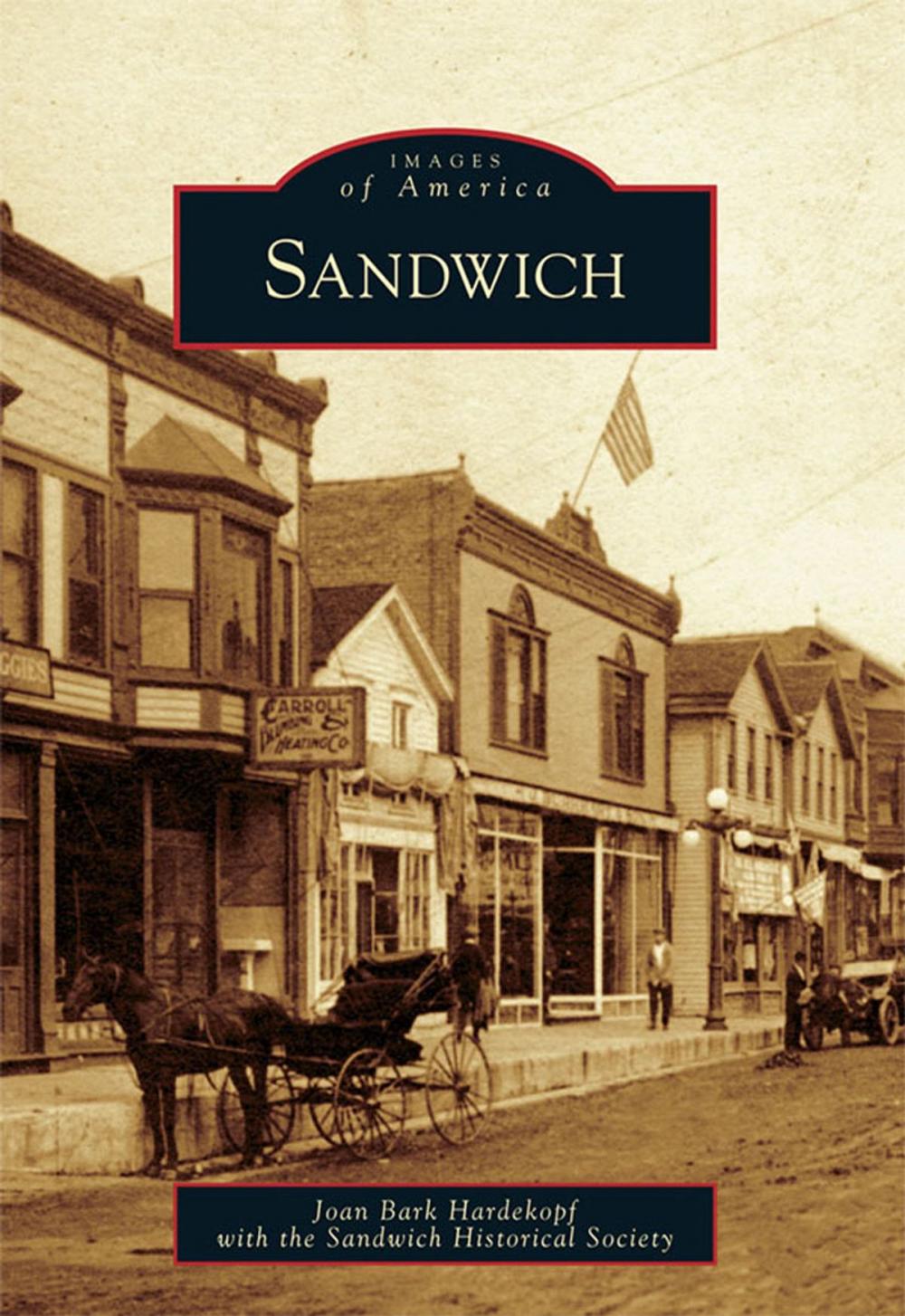 Big bigCover of Sandwich