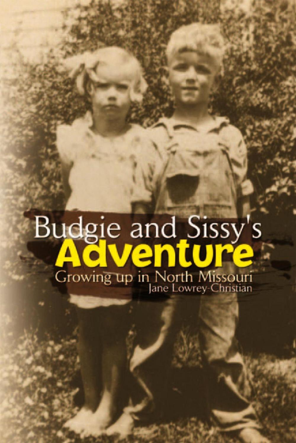 Big bigCover of Budgie and Sissy's Adventure