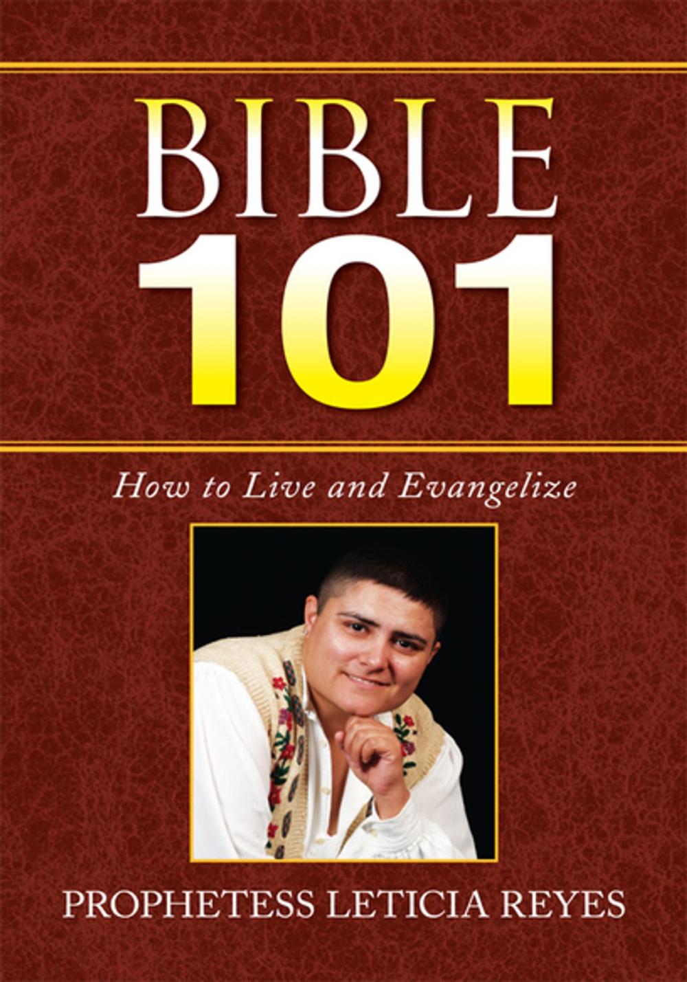 Big bigCover of Bible 101