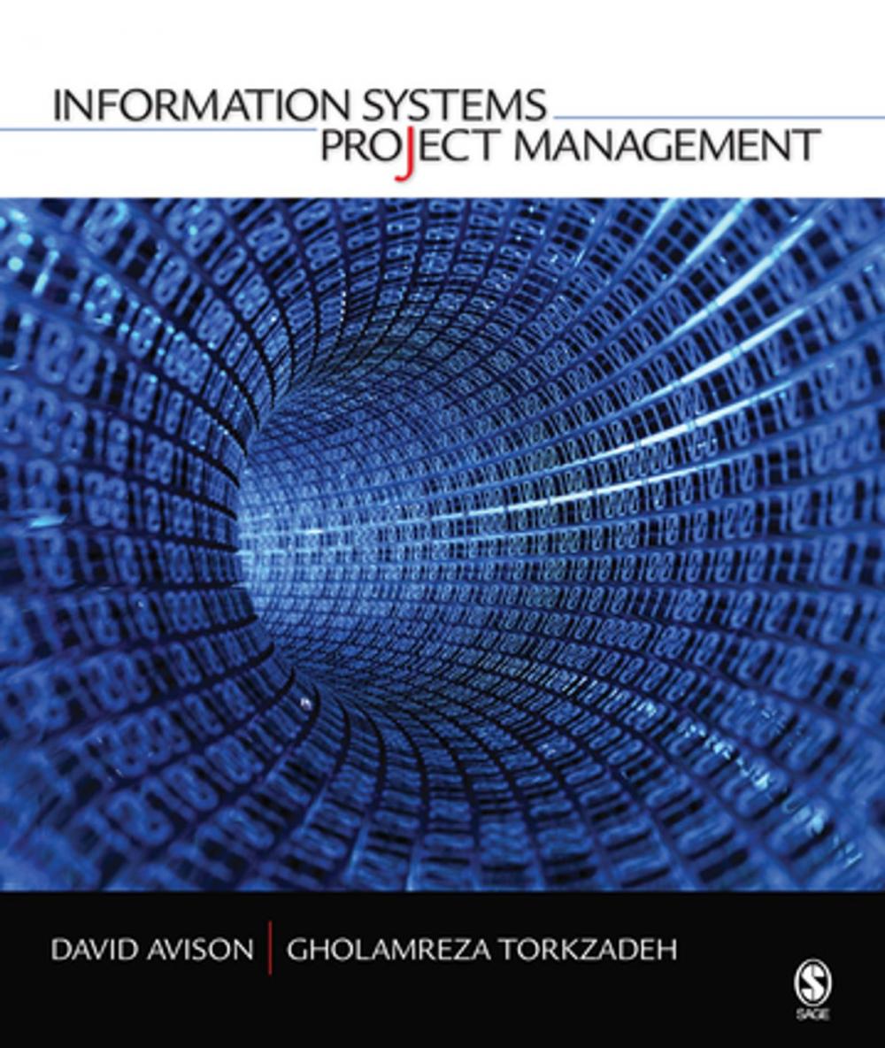 Big bigCover of Information Systems Project Management