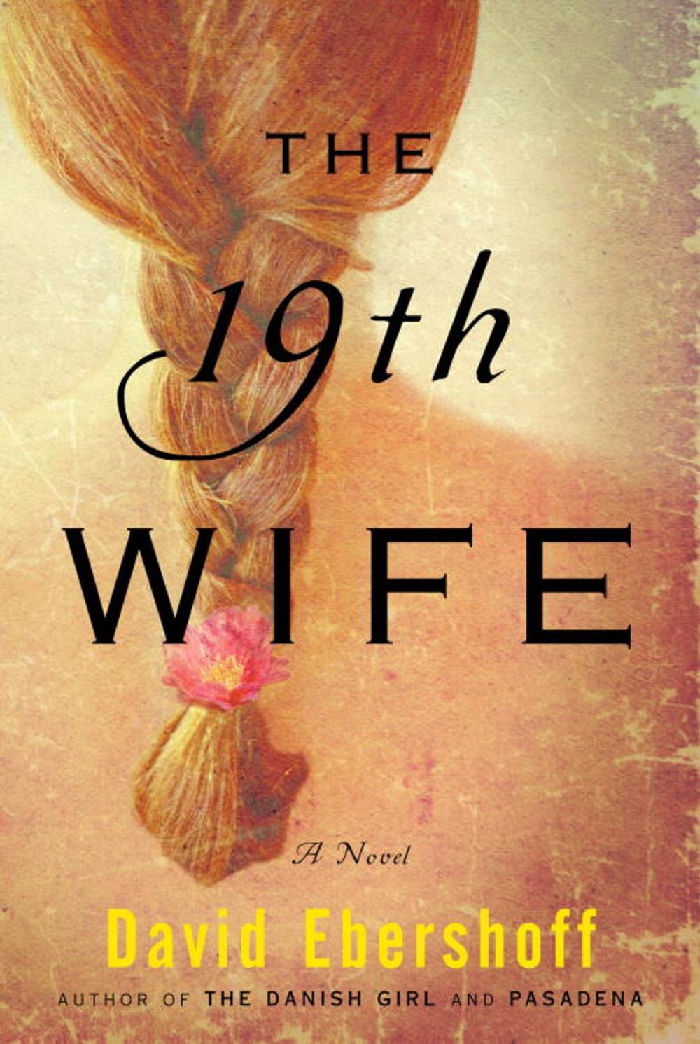 Big bigCover of The 19th Wife