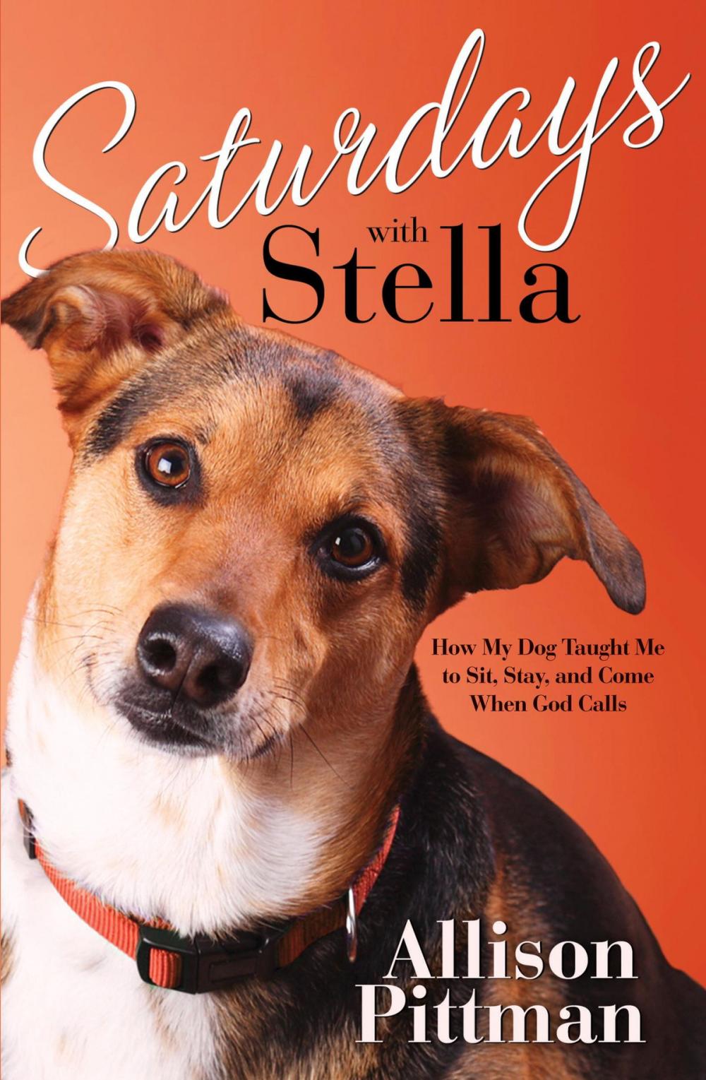 Big bigCover of Saturdays with Stella