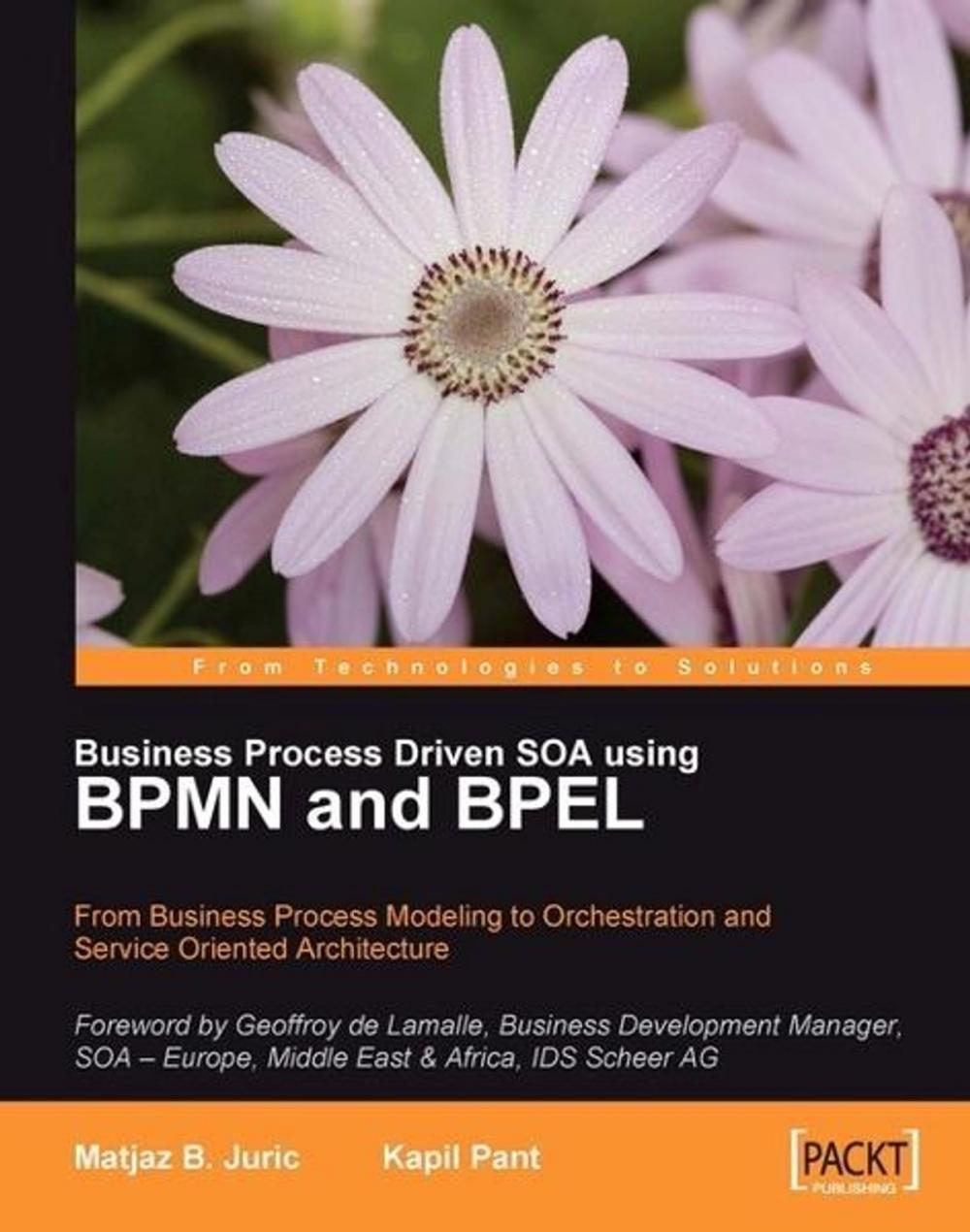 Big bigCover of Business Process Driven SOA using BPMN and BPEL