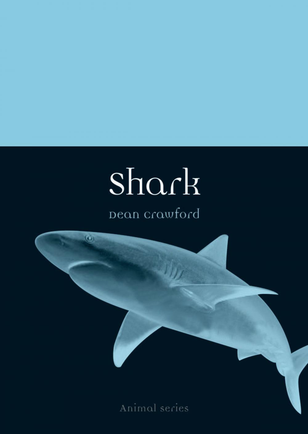 Big bigCover of Shark