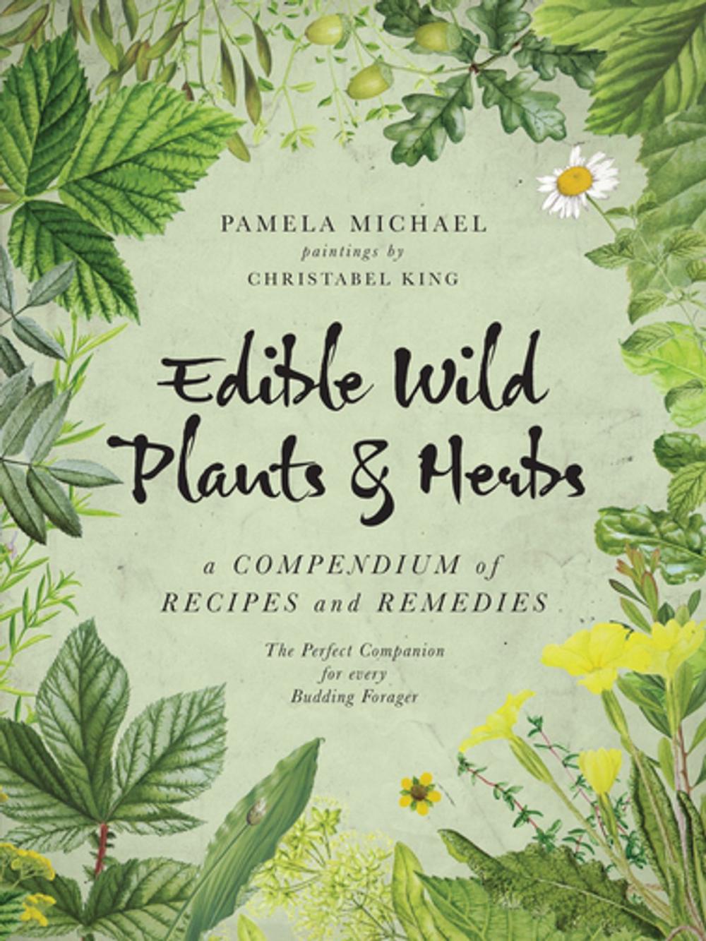 Big bigCover of Edible Wild Plants & Herbs