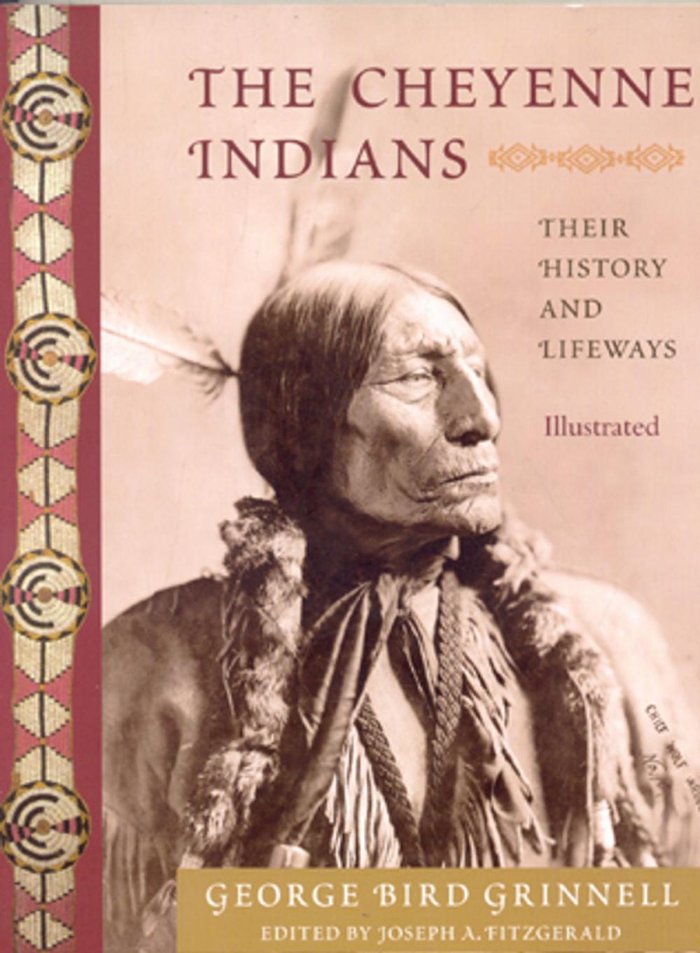 Big bigCover of The Cheyenne Indians