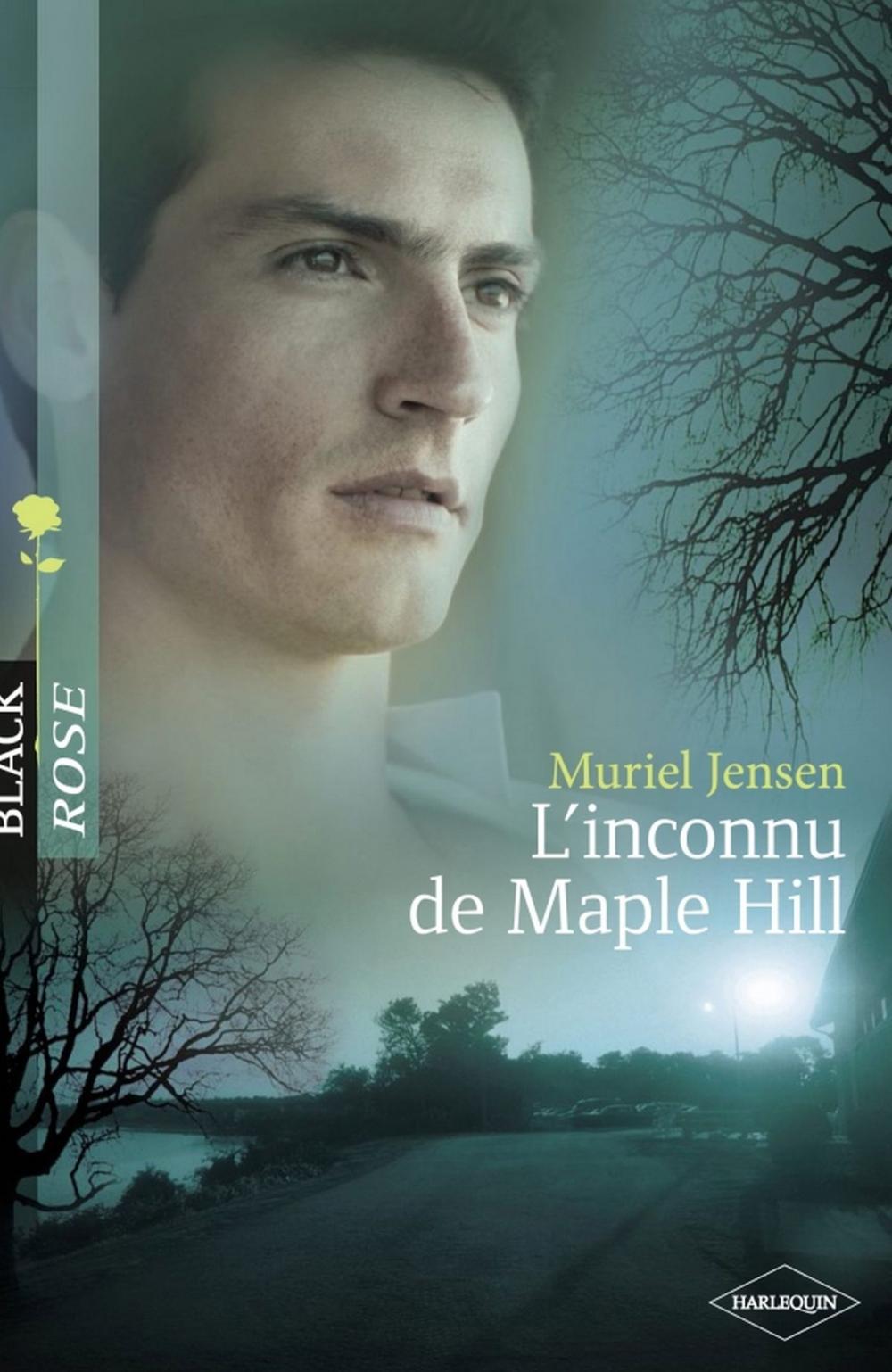 Big bigCover of L'inconnu de Maple Hill (Harlequin Black Rose)