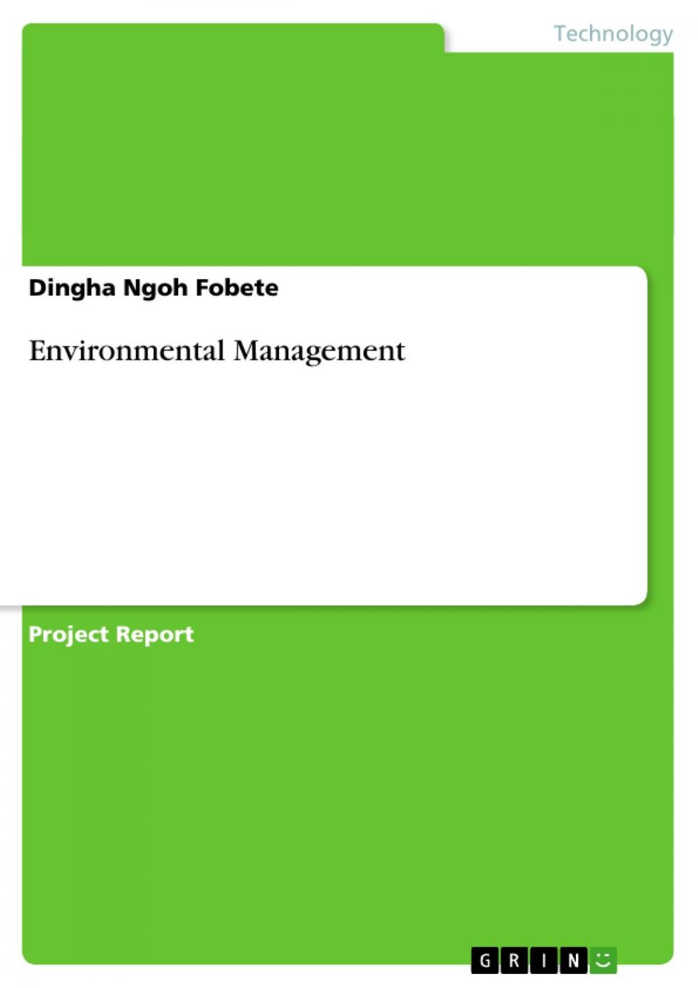 Big bigCover of Environmental Management