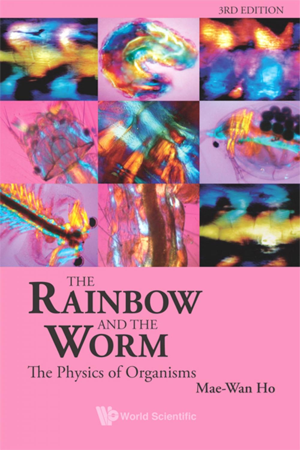 Big bigCover of The Rainbow and the Worm