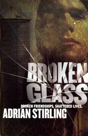 Cover of the book Broken Glass by Paul Miller