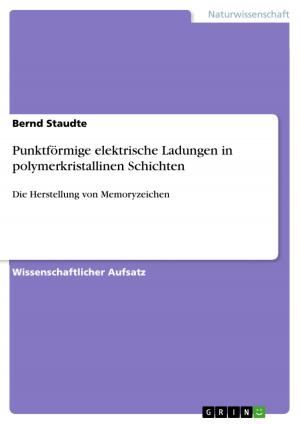 Cover of the book Punktförmige elektrische Ladungen in polymerkristallinen Schichten by Ina Hofmeister