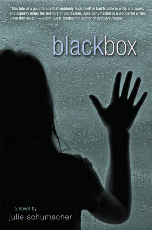 Cover of the book Black Box by Julie Schumacher, Random House Children's Books