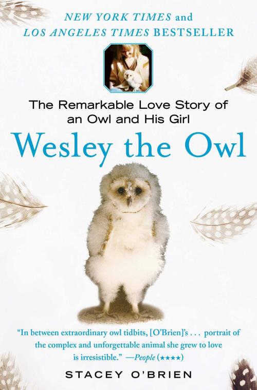 Cover of the book Wesley the Owl by Stacey O'Brien, Atria Books